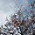 sudoTakeshi 12.mp3 2.9MB