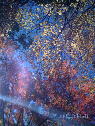sudoTakeshi ambient1.jpg