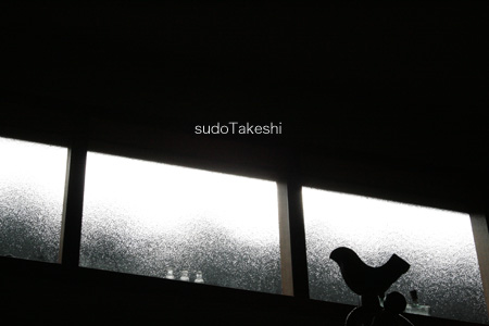sudoTakeshi blog04.jpg
