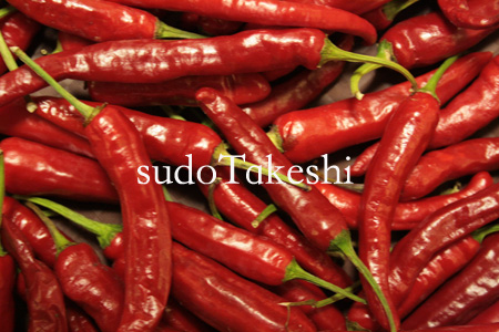 sudoTakeshi blog08.jpg