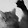 sudoTakeshi blog20.mp3 2.8MB