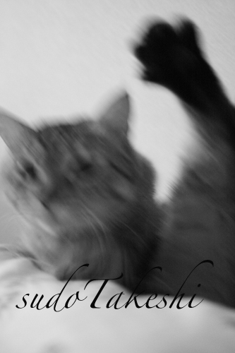 sudoTakeshi blog20.jpg