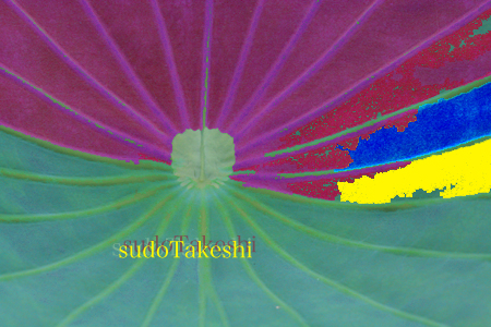 sudoTakeshi bossa01-2.jpg