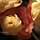 sudoTakeshi irohani.mp3 4.4MB