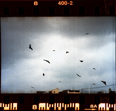 sudoTakeshi modulie01-2.jpg