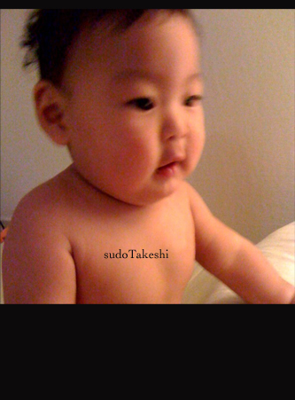 sudoTakeshi st303.jpg
